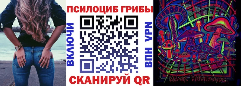 Псилоцибиновые грибы мицелий  Зея 